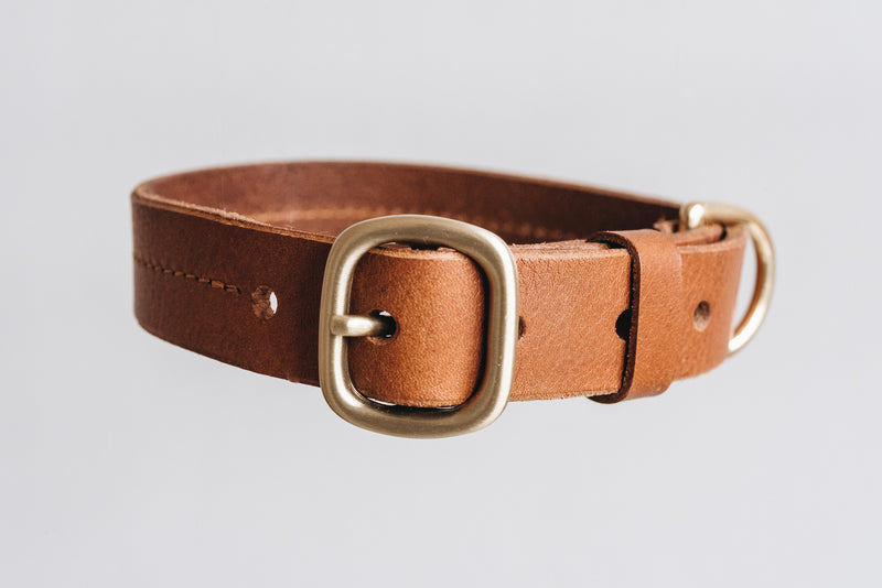 Band&Roll Fir Leather Dog Collar Ginger and Bear
