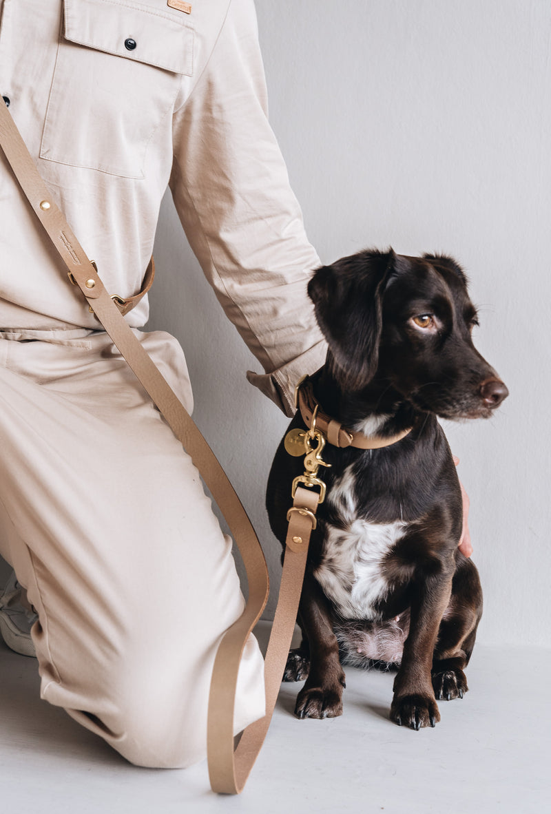 Lasso Leather Dog Leash Ginger and Bear