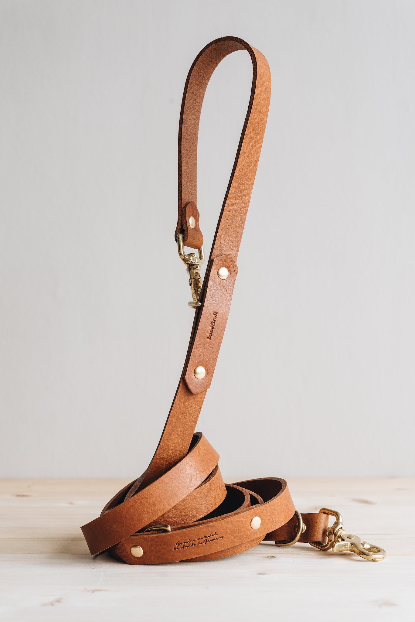 Lasso leash online