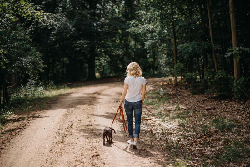 Lasso Leather Dog Leash