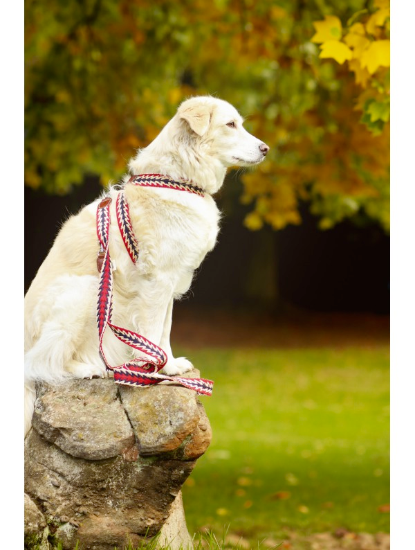Dog Harness: Peruvian Arrow Red