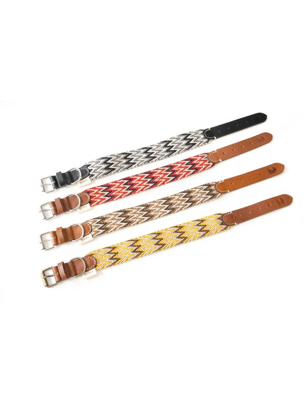 Dog Collar: Peruvian Gold