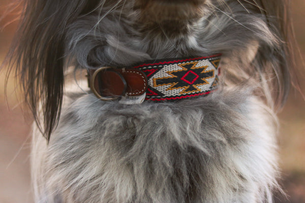 Dog Collar: Peyote Rojo