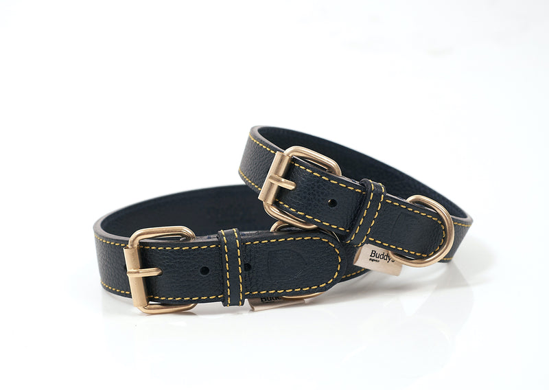Dog Leather Collar: Sir Chuck Azul