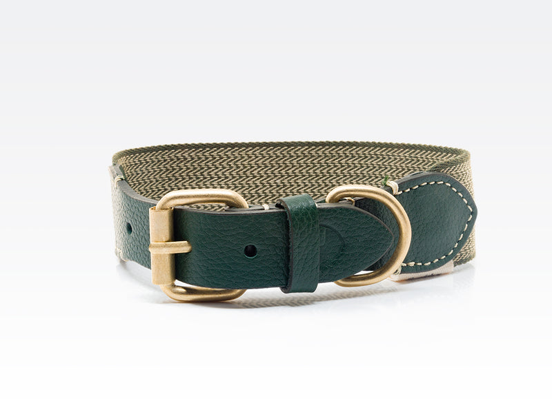 Dog Collar: James Green
