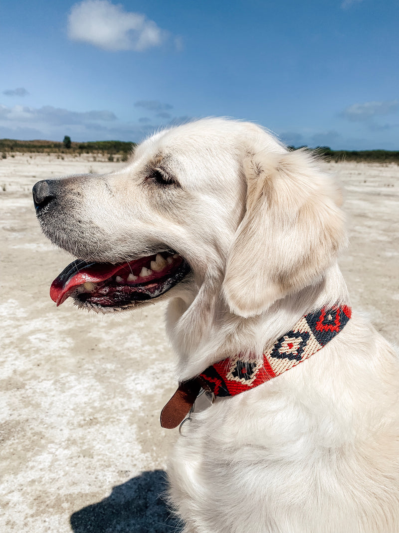 Dog Collar: Peruvian Indian Red