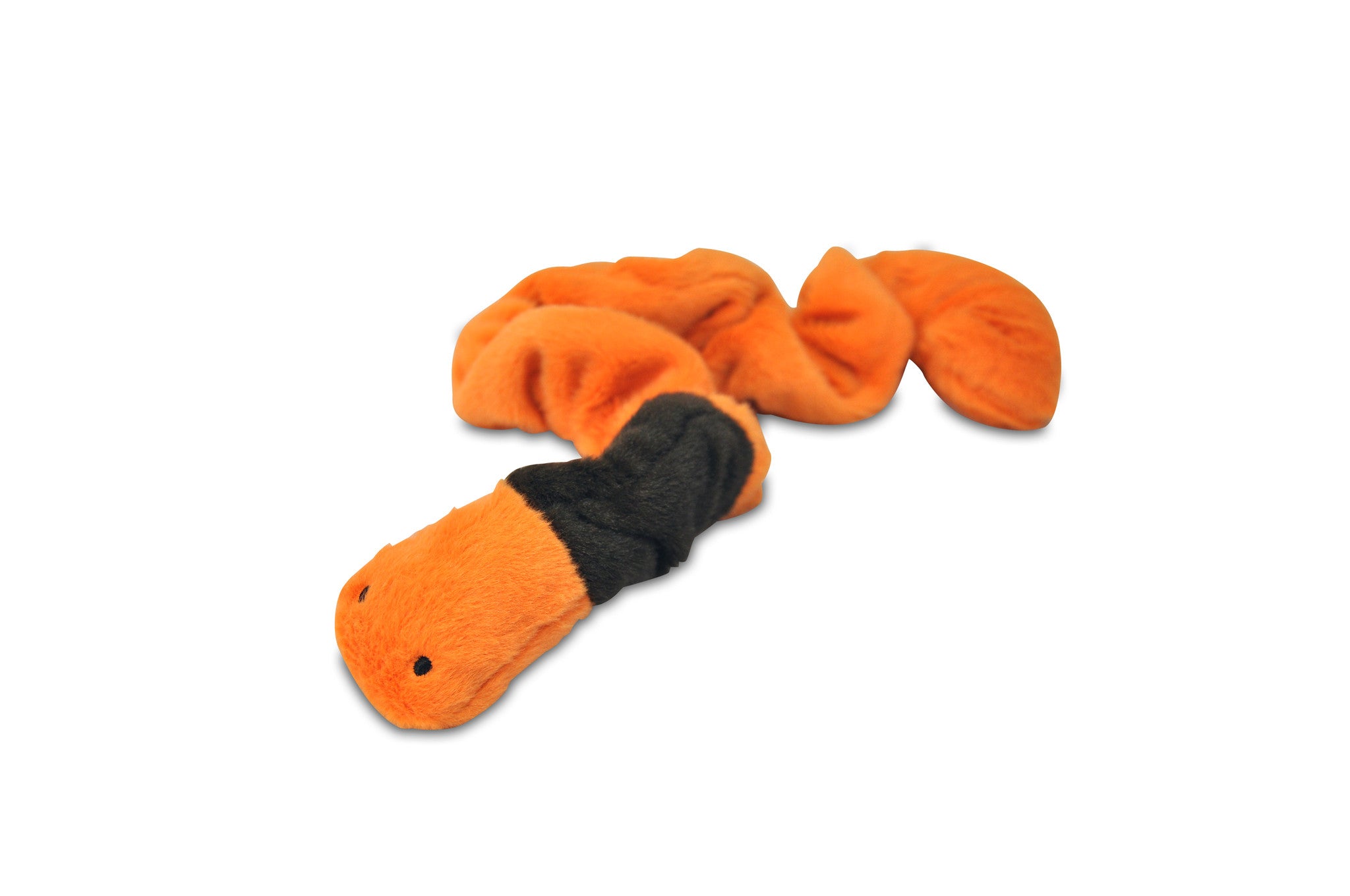 Bugging Out dog toys P.L.A.Y. Butterfly RhinoBeetle Worm Bee LadyBug