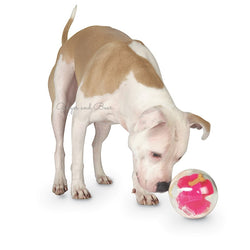 Dog Toy: Interactive Mazee