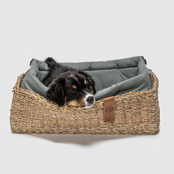 Hideaway Basket Dog Bed, Jade
