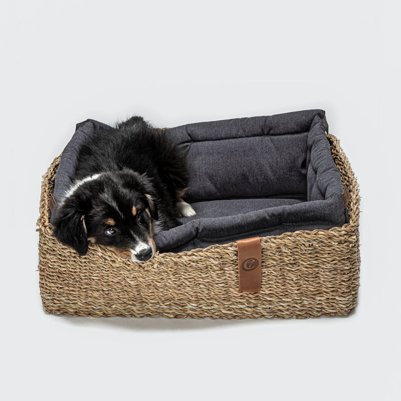 Hideaway Basket Dog Bed, Plum