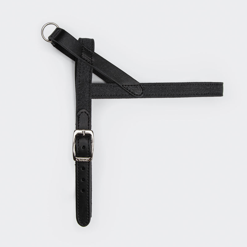 Cloud7: Tivoli Dog Harness in Canvas Leather, Black