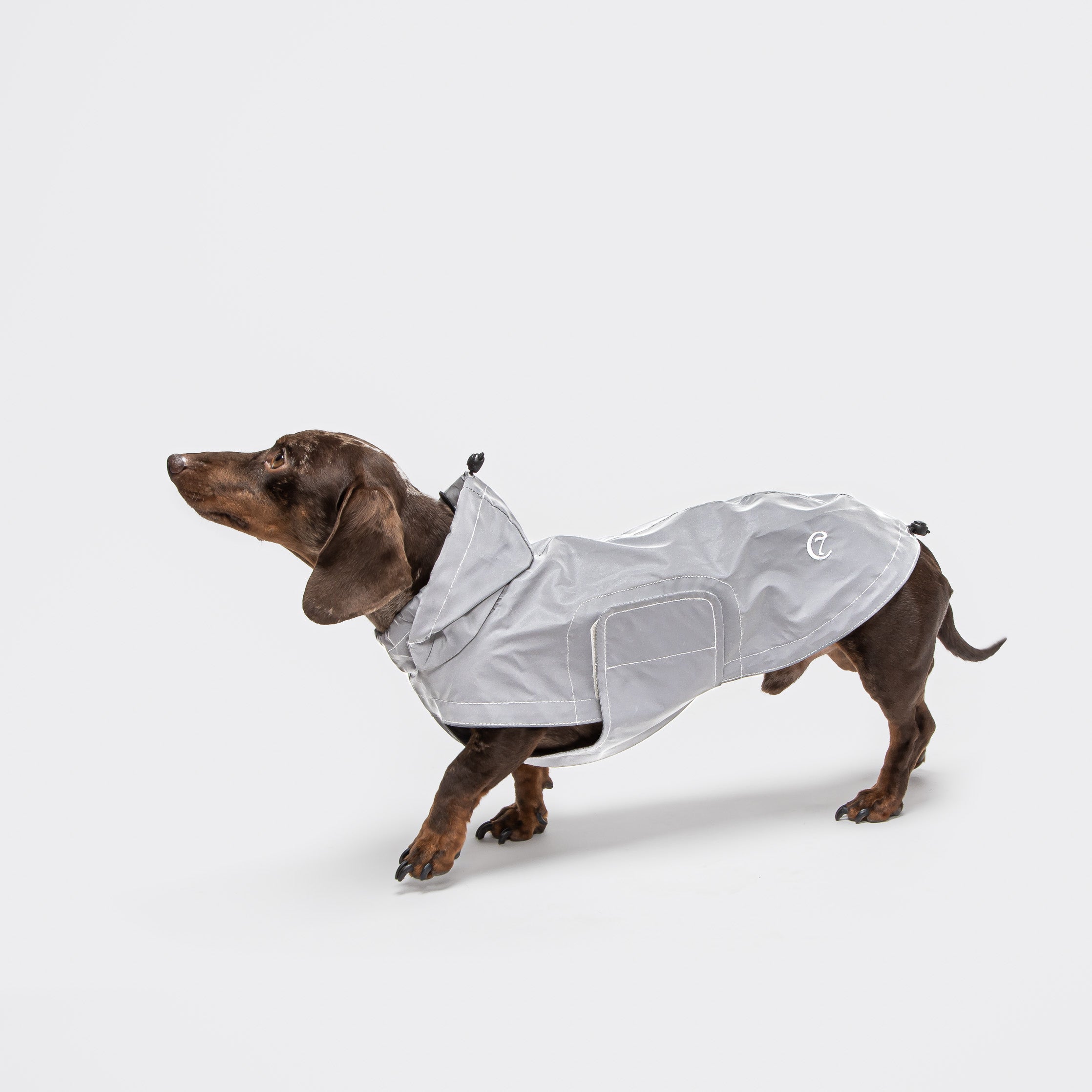 Cloud7 Berlin Dog Rain Coat, Reflective with Hood