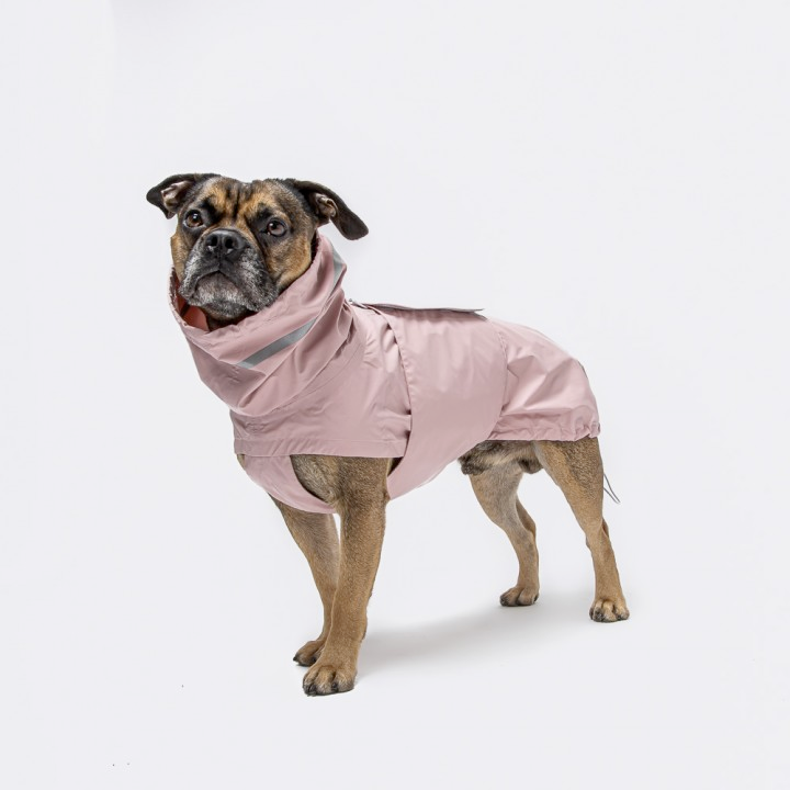 Cloud7 dog hot sale