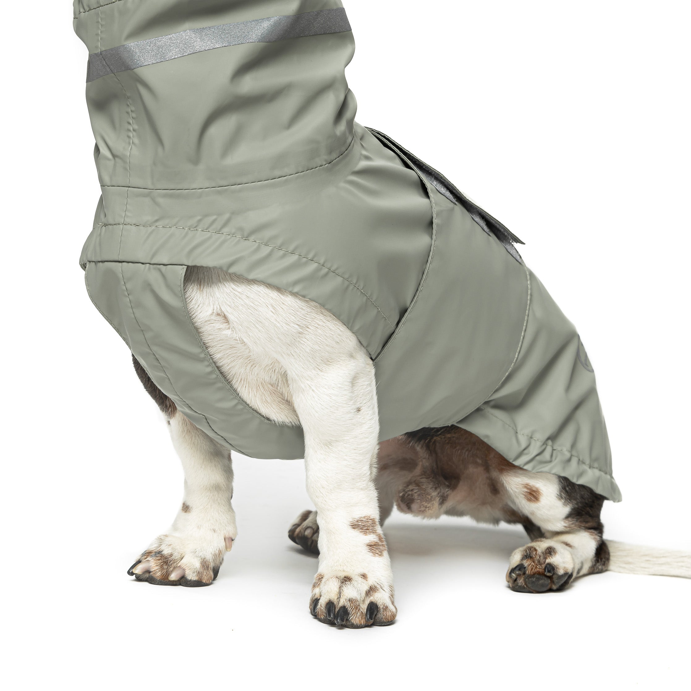 Cloud7 Dog Raincoat Hamburg Thyme Green