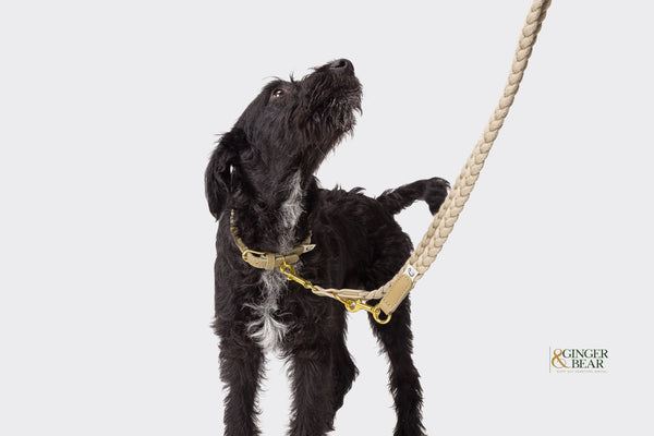 Cloud7: Blomen Dog Leash, Nature