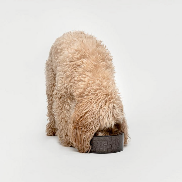 Cloud7 Dog Food and Water Bowl, Ferran Mocha