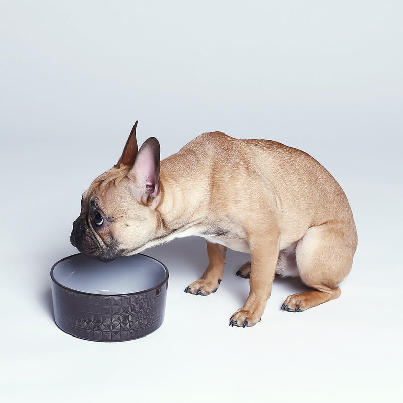 Cloud7 Dog Bowl Ferran food water bowl