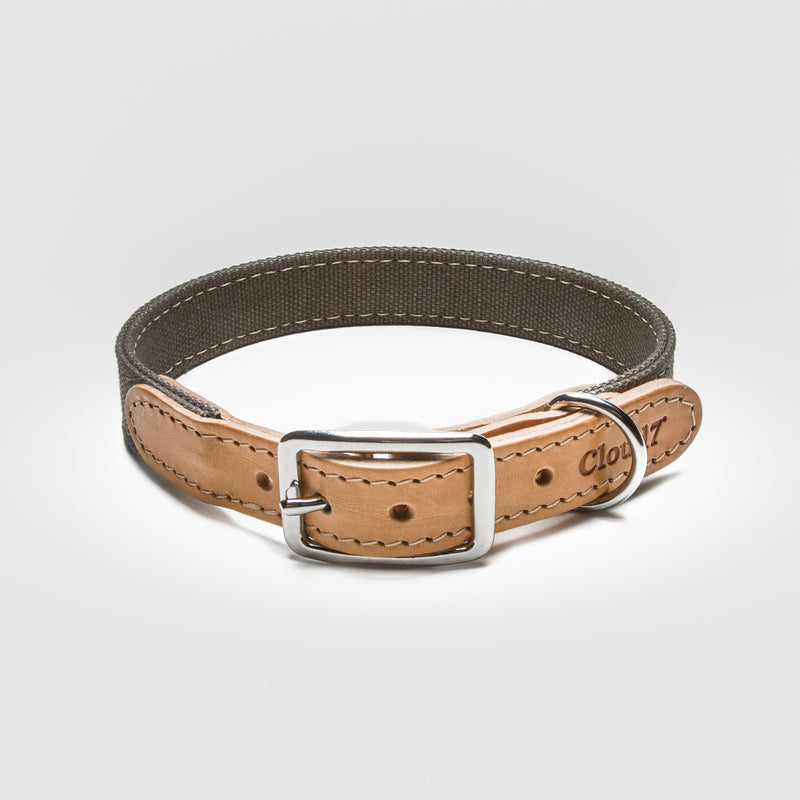 Cloud7: Tivoli Dog Collar in Canvas Leather, Greige