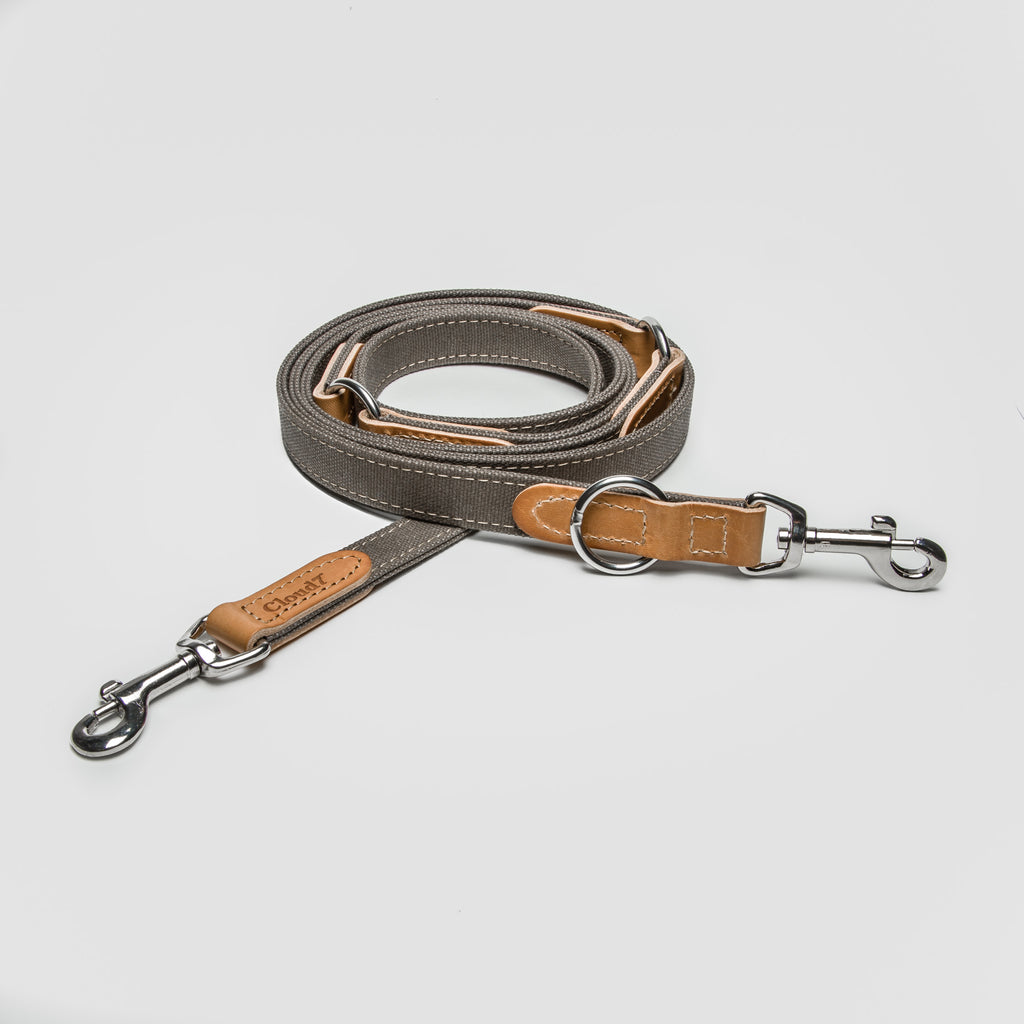 Cloud 7 dog collar online