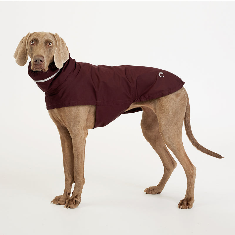 Cloud7 London Dog Rain Coat with Belly Protector in Bordeaux