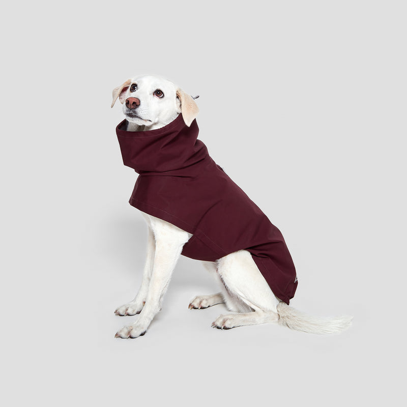 Cloud7 London Dog Rain Coat with Belly Protector in Bordeaux