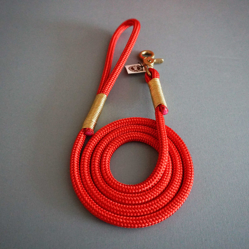 Rugged Wrist Hudson Dog Leash: Gold and Red Rope