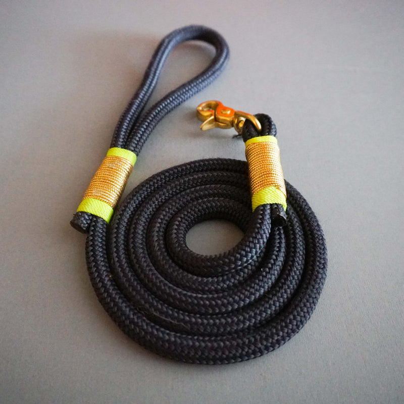 Rugged Hudson Leash: Gold with Fluorescent Citrus