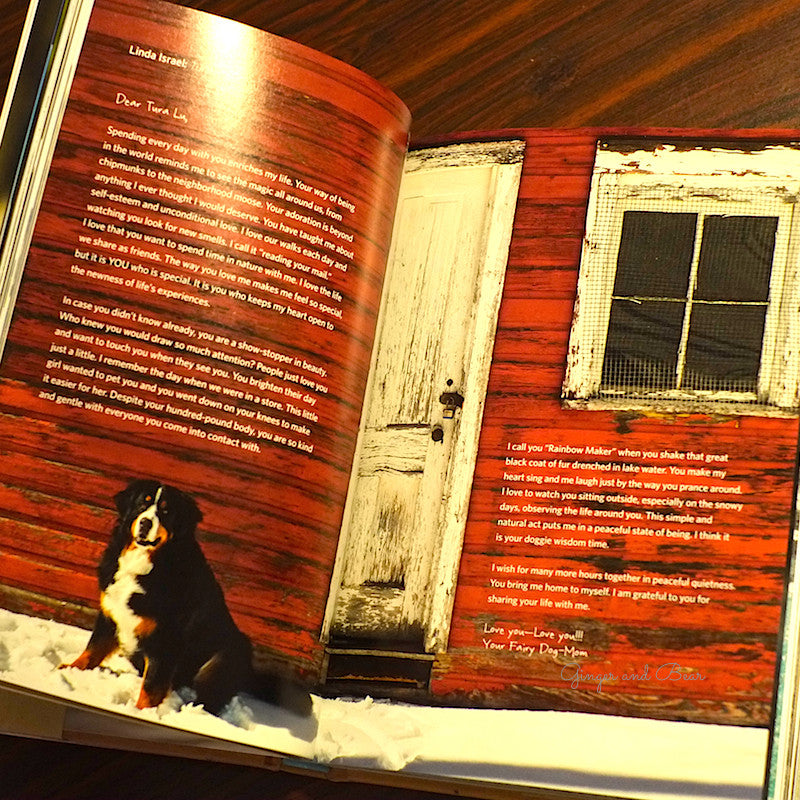 Book: A Letter to My Dog