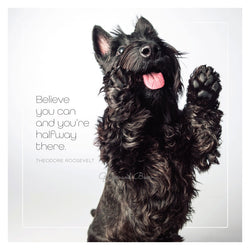 Famous Barks: Scotty's Believe You Can