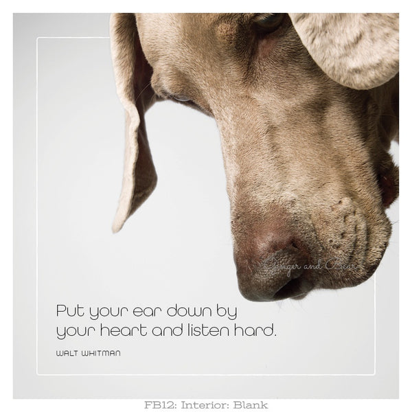 Famous Barks: Basha's Put Your Ear Down