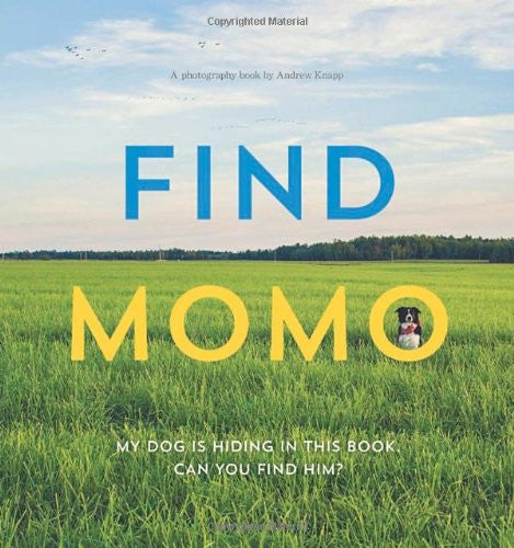 Book: Find Momo