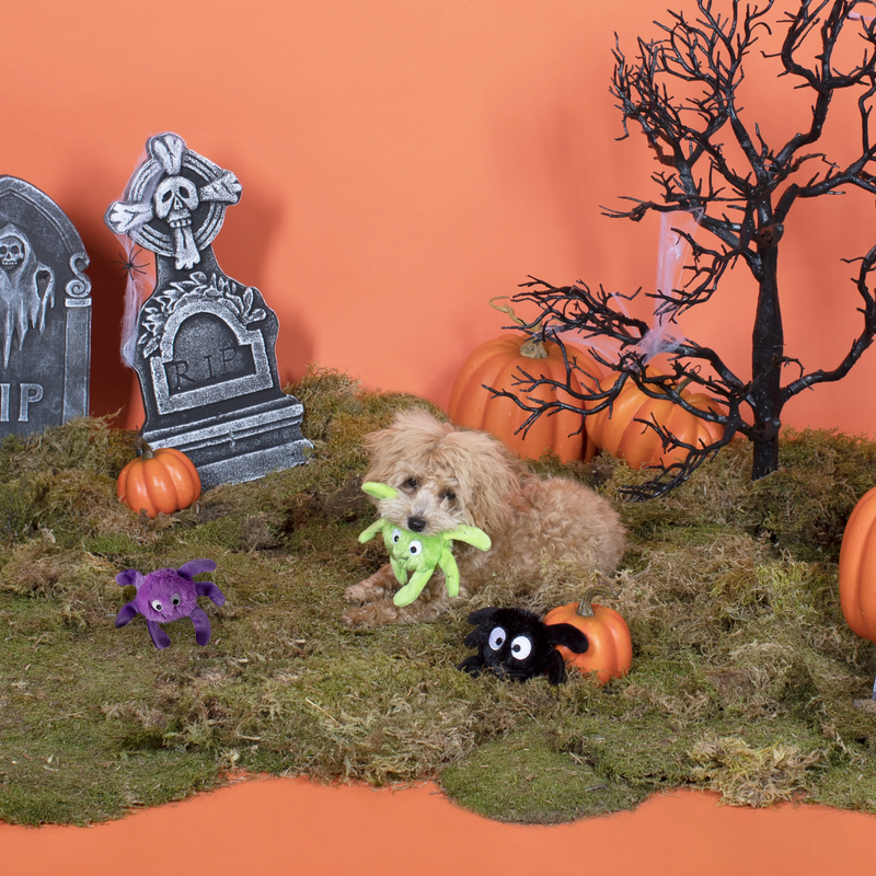 Mini Creepy Crawly Spiders, Dog Squeaky Plush toy