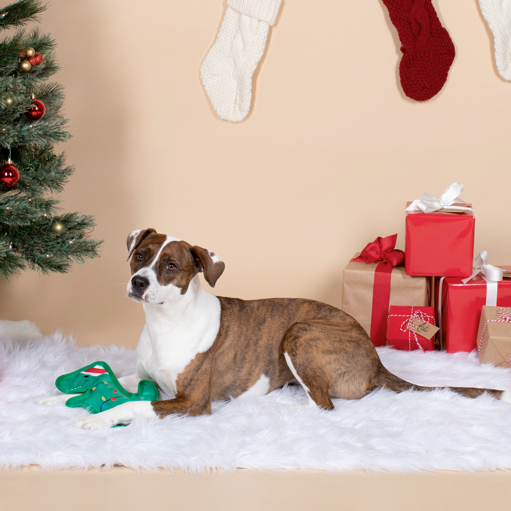 UnStuffed ChristmasSaurus, Dog Squeaky Plush toy