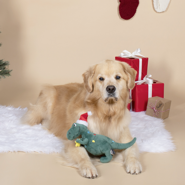 Holiday Tree Rex Dog Squeaky Plush toy