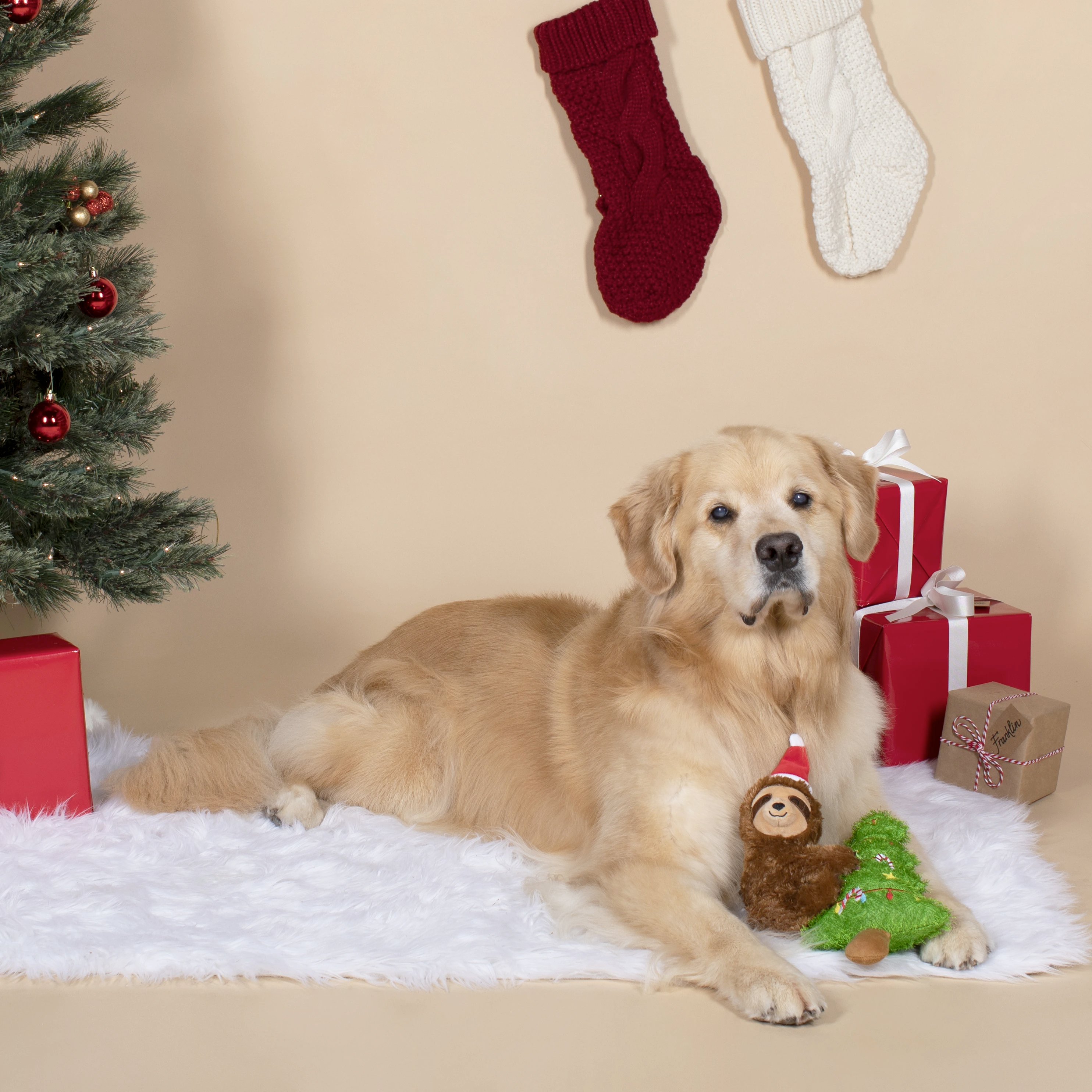 Merry Slothmas, Dog Squeaky Plush toy