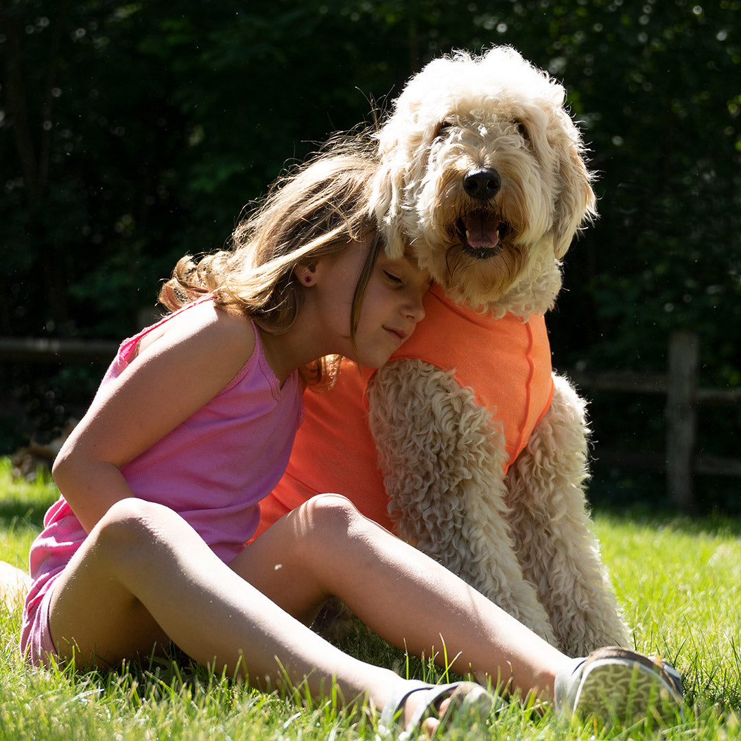 Sun Shield Tee shirts for Dogs and Cats, in Neon Orange