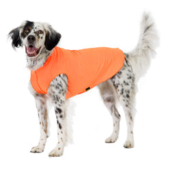Sun Shield Tee shirts for Dogs and Cats, in Neon Orange
