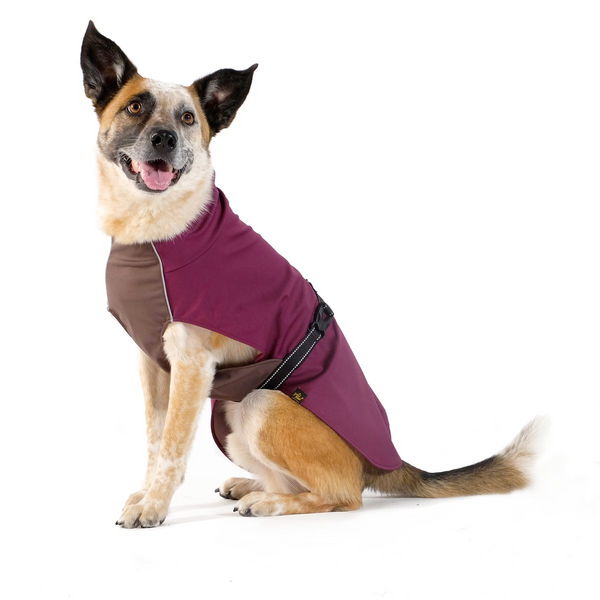 The Rain Paw, raincoat for Dogs, in Beetroot and Graphite