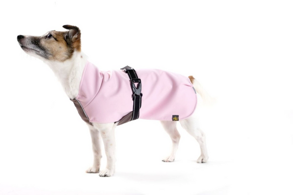 The Rain Paw, raincoat for Dogs, in Pink and Graphite