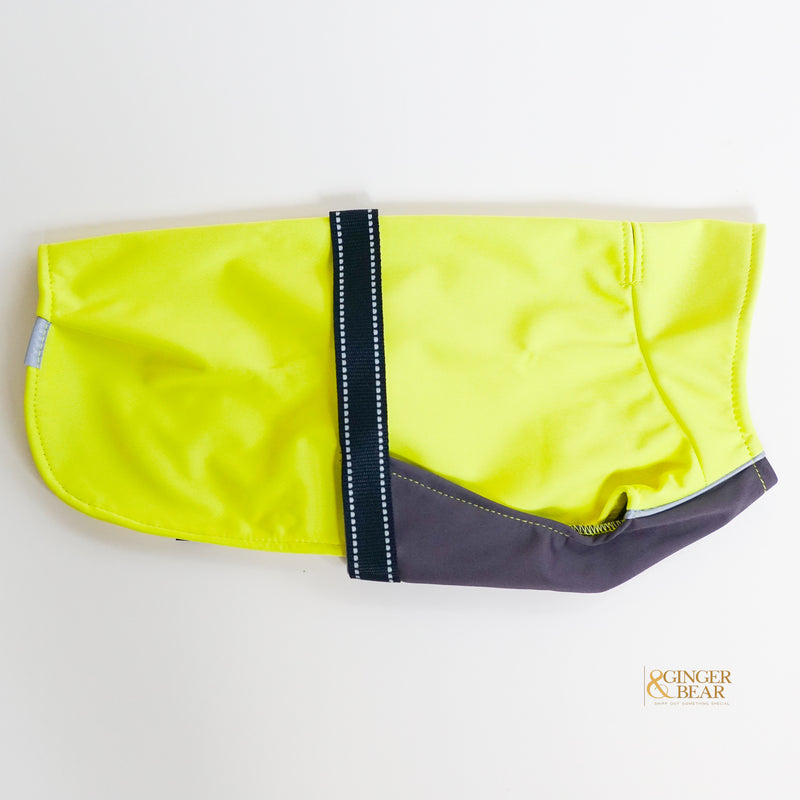 The Rain Paw, raincoat for Dogs, in Yellow and Graphite