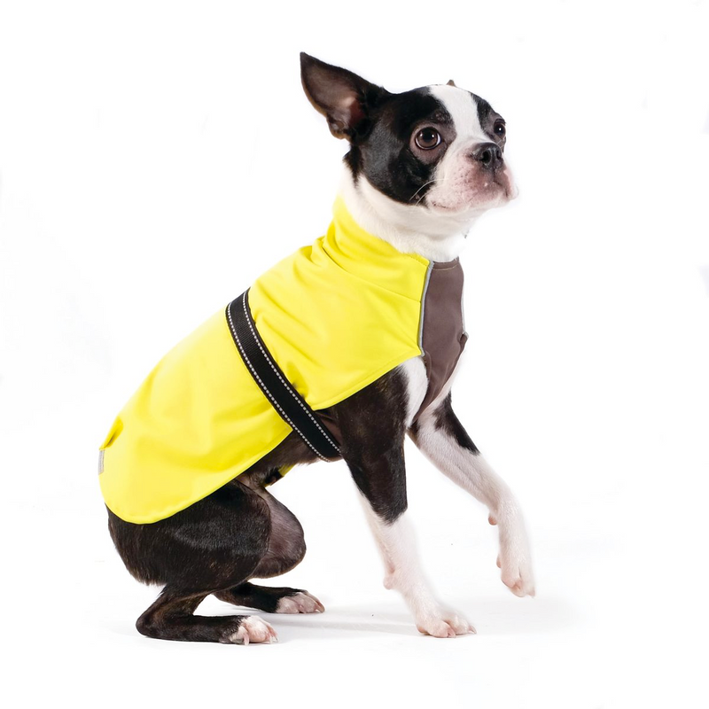 The Rain Paw, raincoat for Dogs, in Yellow and Graphite
