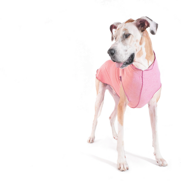 Sun Shield Tee shirts for Dogs and Cats, in Coral Heather