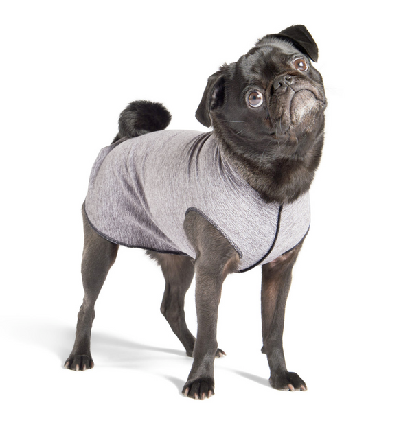 Sun Shield Tee shirts for Dogs and Cats, in Grey Heather