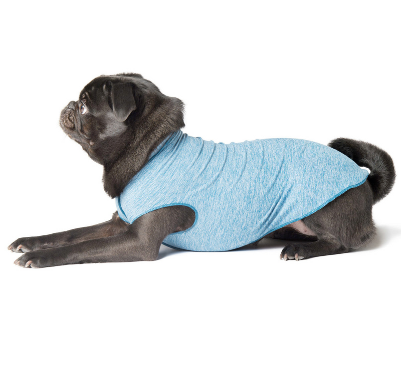 Sun Shield Tee shirts for Dogs and Cats, in Ocean Heather