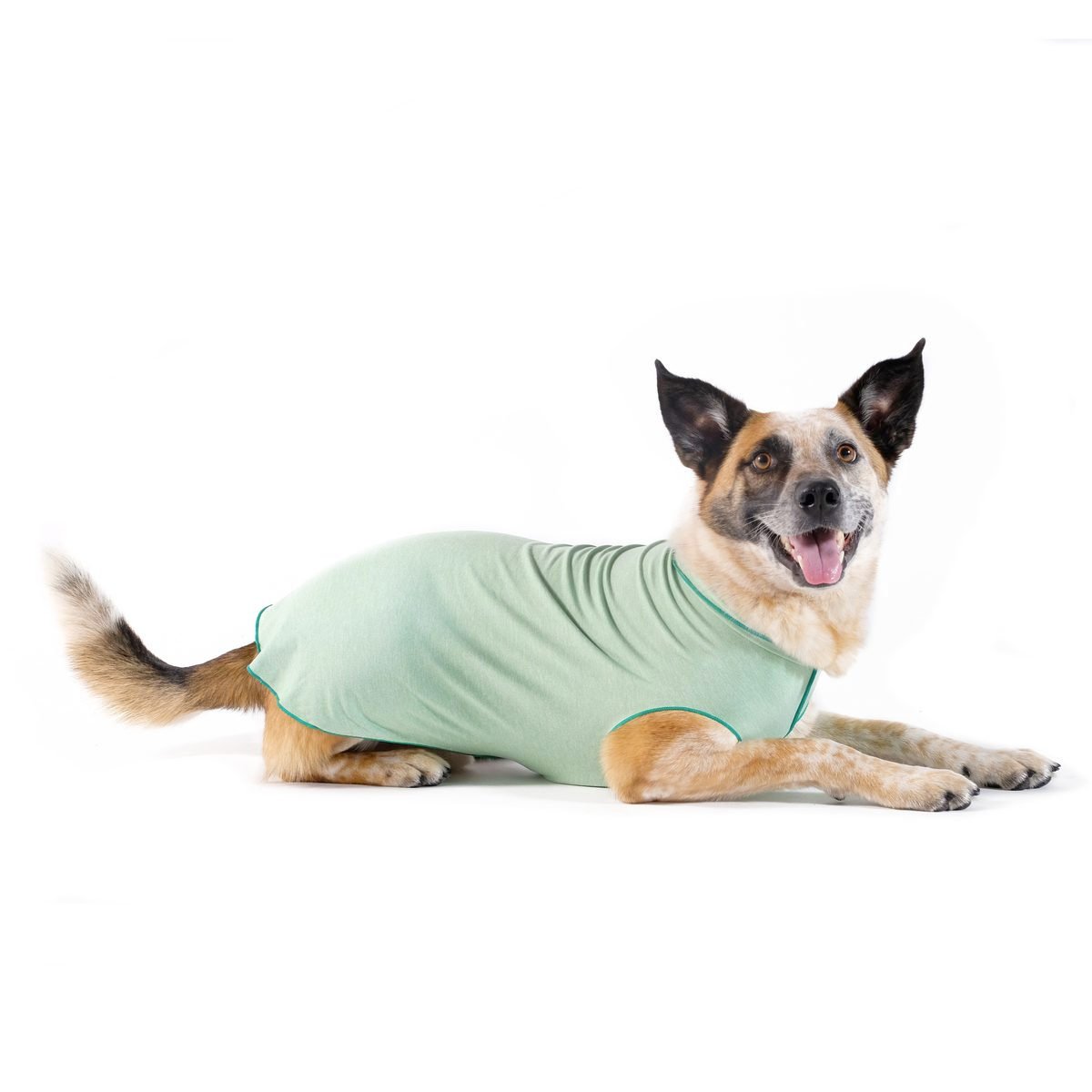 Sun Shield Tee shirts for Dogs and Cats, in Pistachio Heather