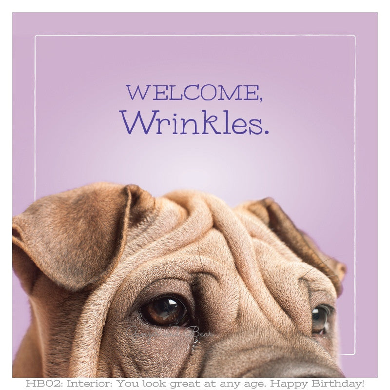 Happy　Birthday:　and　Bear　Mimosa's　Wrinkles　–　Happy　Birthday　Ginger
