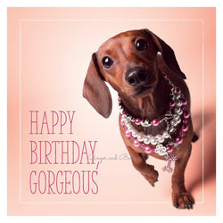 Happy Birthday: Chanel's Happy Birthday Gorgeous