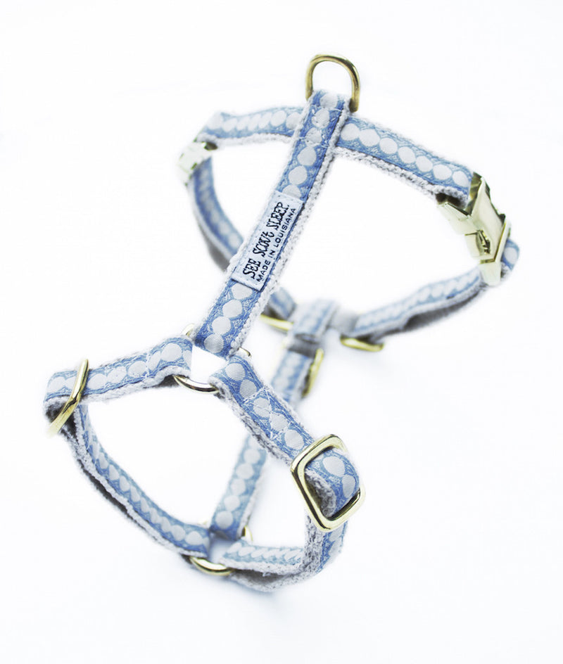 You're a Stud Harness: Lake Blue and Cream