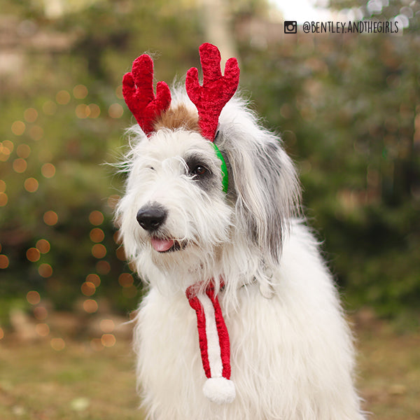 Holiday Antlers Headband for Dogs and Cats