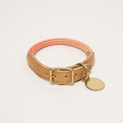 HowlPot We are Tight Rope Dog Collar Cherry Twizzle